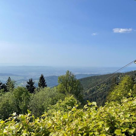 Neue Ferienwohnung Mit Whirlpool Und Sauna In Der Residenz Grafenmatt Inklusive Hochschwarzwaldcard Feldberg  Exterior foto